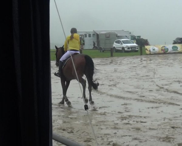 Reitturnier Burscheid-Paffenlöh 2018