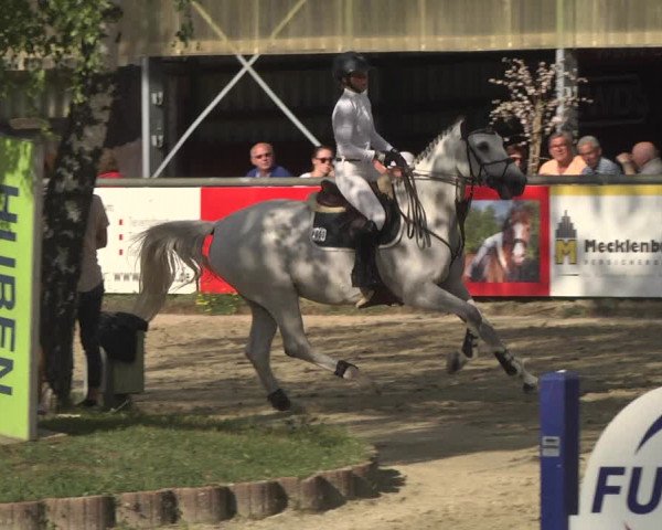 Reitturnier Viernheim 2018