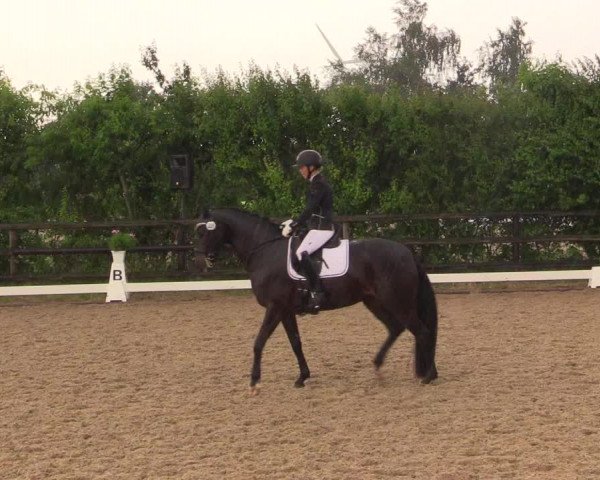 Reitturnier Schillerslage 2018