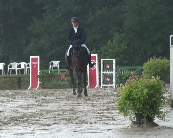 Reitturnier Burscheid-Paffenlöh 2018