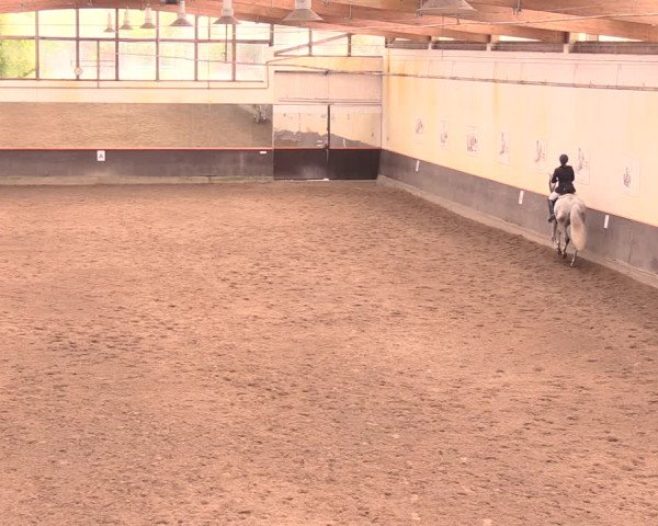 Reitturnier Dallgow 2018
