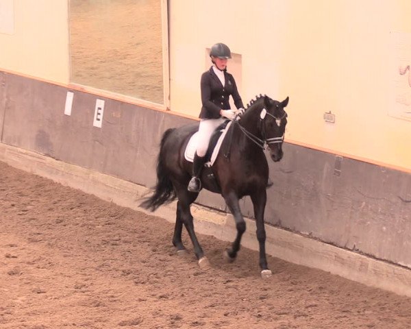 Reitturnier Dallgow 2018