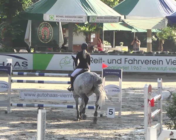 Reitturnier Viernheim 2018