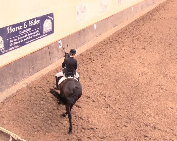 Reitturnier Dallgow 2018