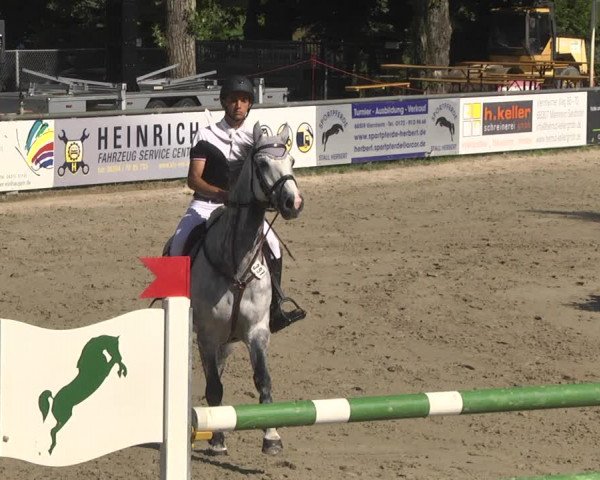 Reitturnier Viernheim 2018