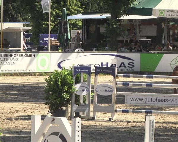 Reitturnier Viernheim 2018