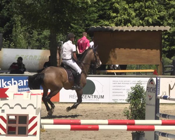 Reitturnier Viernheim 2018