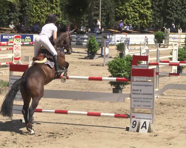 Reitturnier Viernheim 2018