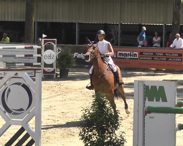 Reitturnier Viernheim 2018