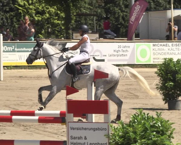 Reitturnier Viernheim 2018