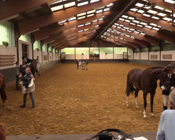Kiersper Reitertage 2018