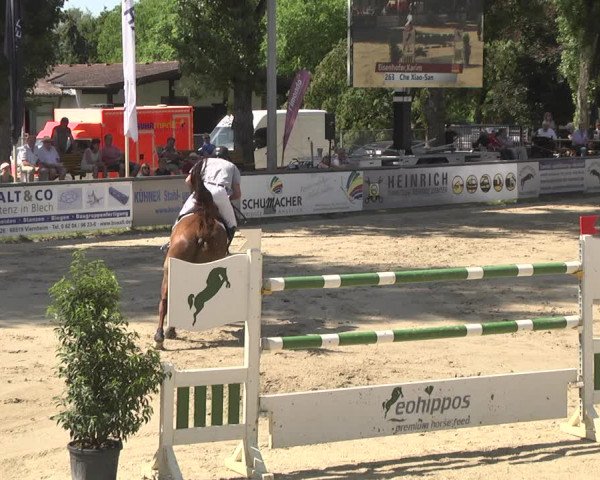 Reitturnier Viernheim 2018