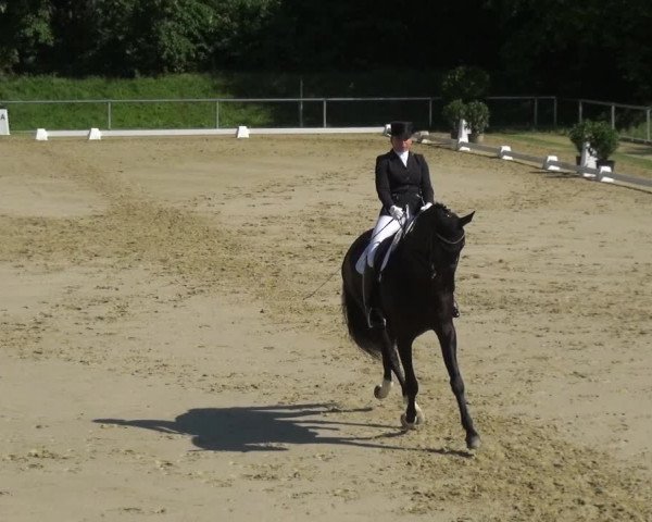 Reitturnier Ladenburg 2018