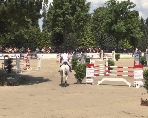 Reitturnier Viernheim 2018