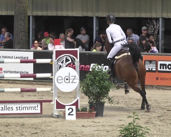 Reitturnier Viernheim 2018