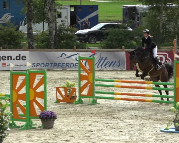 Reitturnier Westergellersen 2021