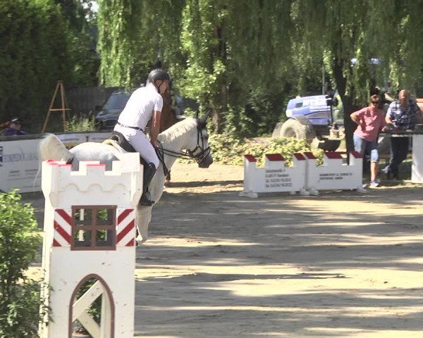 Reitturnier Viernheim 2018