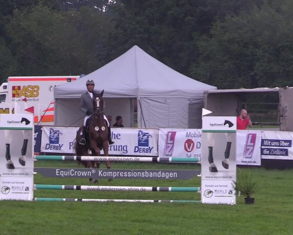 Reitturnier Schillerslage 2018