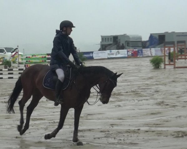 Reitturnier Burscheid-Paffenlöh 2018