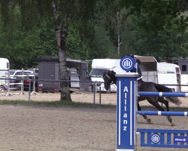 Kiersper Reitertage 2018