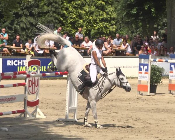 Reitturnier Viernheim 2018
