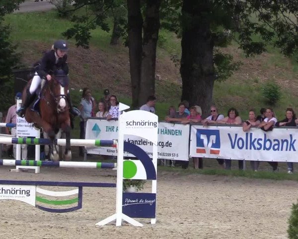 Kiersper Reitertage 2018