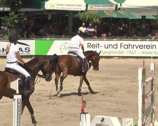 Reitturnier Viernheim 2018