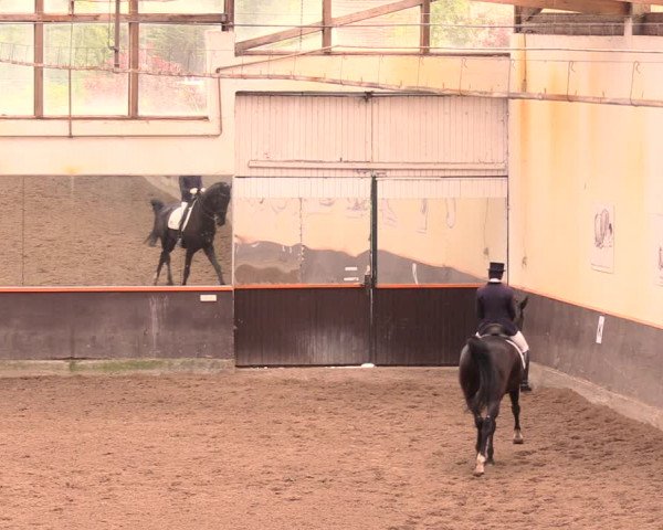 Reitturnier Dallgow 2018