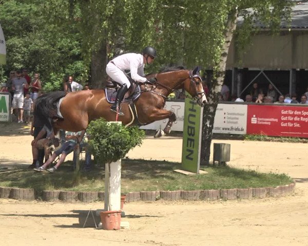 Reitturnier Viernheim 2018