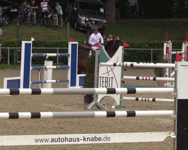 Kiersper Reitertage 2018