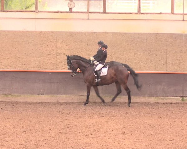 Reitturnier Dallgow 2018