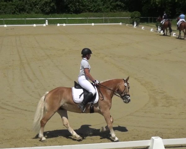 Reitturnier Ladenburg 2018