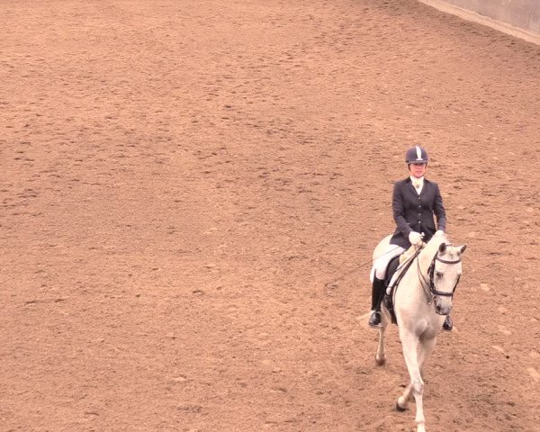 Reitturnier Dallgow 2018