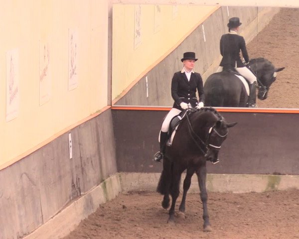 Reitturnier Dallgow 2018