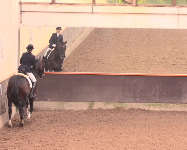 Reitturnier Dallgow 2018