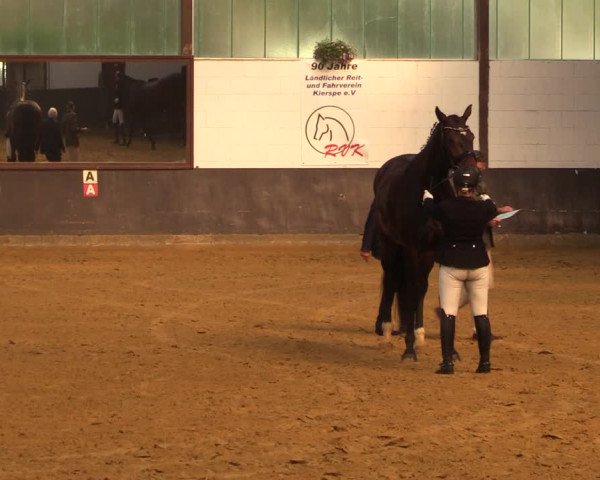 Kiersper Reitertage 2018