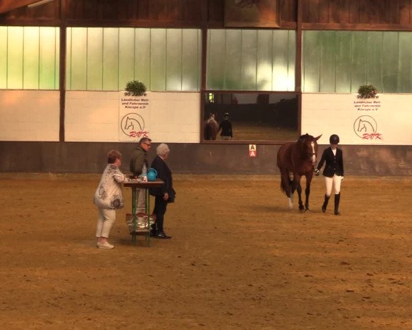 Kiersper Reitertage 2018