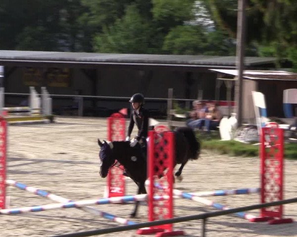 Reitturnier Haiger-Rodenbach 2018