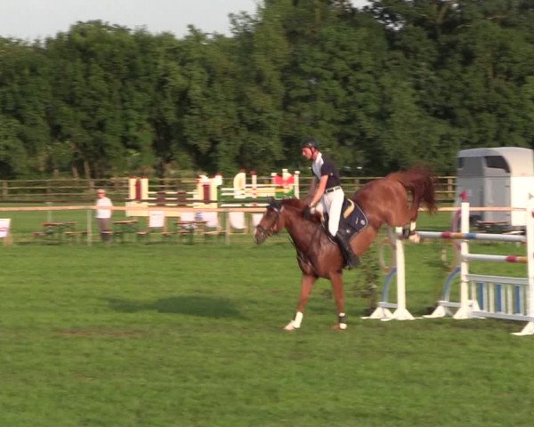 Reitturnier Schillerslage 2018