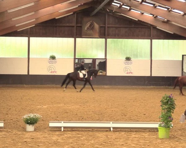 Kiersper Reitertage 2018