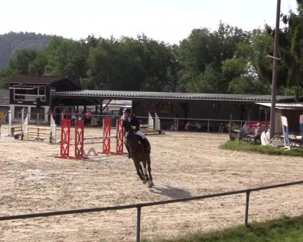 Reitturnier Haiger-Rodenbach 2018
