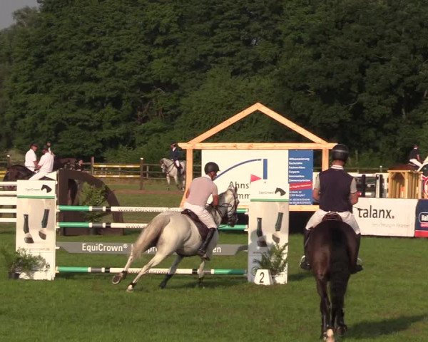 Reitturnier Schillerslage 2018