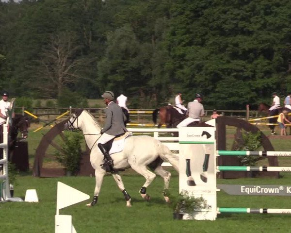 Reitturnier Schillerslage 2018