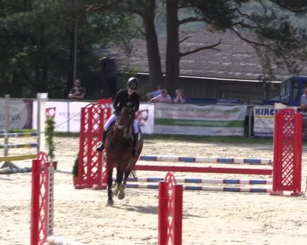 Reitturnier Haiger-Rodenbach 2018