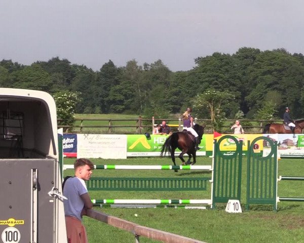 Reitturnier Schillerslage 2018