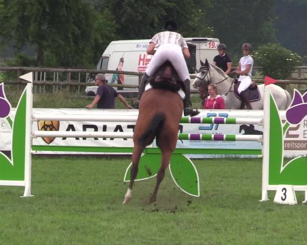 Reitturnier Schillerslage 2018