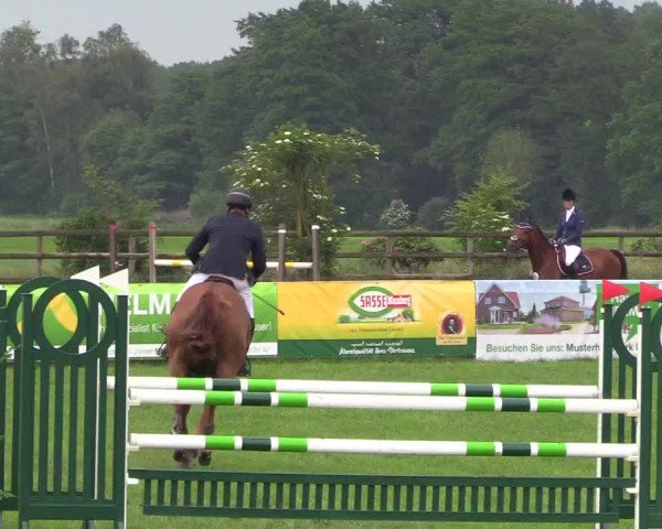 Reitturnier Schillerslage 2018