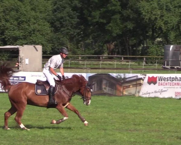 Reitturnier Schillerslage 2018