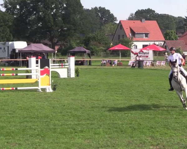 Reitturnier Schillerslage 2018
