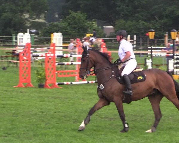 Reitturnier Schillerslage 2018